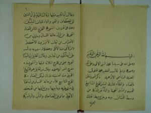 تحميل كتاب الفرق بين الضاد و الظاء PDF محمد المتولي الازهري