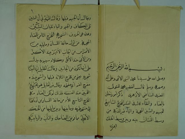 تحميل كتاب الفرق بين الضاد و الظاء PDF محمد المتولي الازهري
