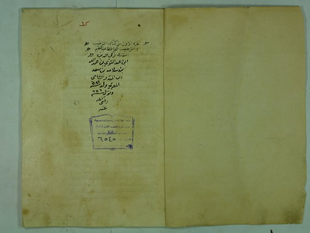 تحميل كتاب الترغيب و الترهيب ج1 ل زكي الدين المنذري PDF زكي الدين المنذري
