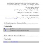 تحميل كتاب أنواع الملفات PDF كاروان فهمي سامي جقسي