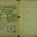 تحميل كتاب التصريح بمضمون التوضيح لزين الدين أبو الوليد خالد بن عبد الله بن أبي بكر الأزهري PDF