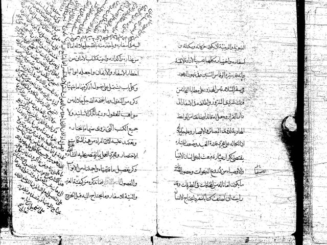 تحميل كتاب مخطوطة أمان الأخطار في الأسفار فى الطب PDF