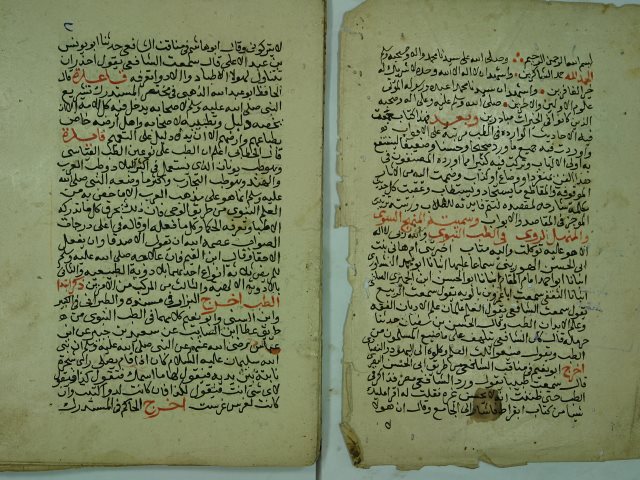 تحميل كتاب المنهج السوي و المنيل الروي في الطب النبوي PDF جلال الدين عبد الرحمن بن ابي بكر السيوطي و شمس الدين محمد بن يوسف الصالحي الشامي