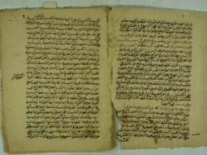 تحميل كتاب الدر المنشور في شرح صدور ديوان السدور PDF