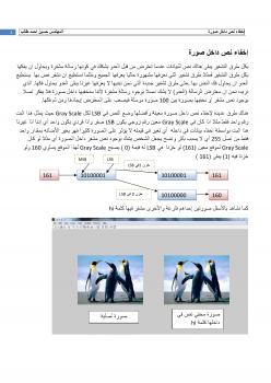تحميل كتاب إخفاء نص داخل صورة (Hide Text in Image By Matlab) ل حسين احمد طالب PDF