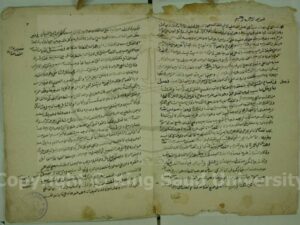 تحميل كتاب العروش العلوية في الأروش الشرعية PDF نسخة أصلية