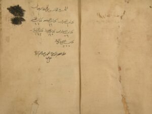 تحميل كتاب المحيط البرهاني لبرهان الدين: محمود بن أحمد بن عبد العزيز البخاري – ج5 PDF محمود بن أحمد بن عبد العزيز البخاري
