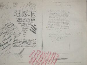 تحميل كتاب الحكمة الدرية والدلالة النورية PDF أحمد بن سليمان بن محمد