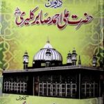 تحميل كتاب Deewan Hazrat Ali PDF أحمد صابر كَلِيرِي
