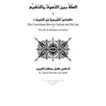 تحميل كتاب الصلة بين التصوف والتشيع ل كامل مصطفى الشيبي PDF