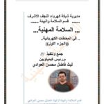 تحميل كتاب السلامة المهنية في المحطات الكهربائية PDF
