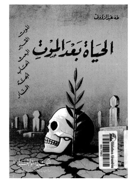 تحميل كتاب الحياة بعد الموت PDF طه عبد الرؤوف منسق جيدًا