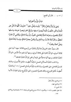 تحميل كتاب الغرة في شرح اللمع من أول باب إن وأخواتها إلى آخر باب العطف PDF سعيد بن المبارك بن الدهان