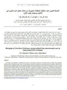 تحميل كتاب التنميط الحيوي لعتر المطثية الحاطمة المعزولة من حالات تذيفن الدم المعوي في الأغنام بإستخدام تقنية الاليزا ل عبد الكريم قلب اللوز, محمد علي حمد, ناجح هبره PDF