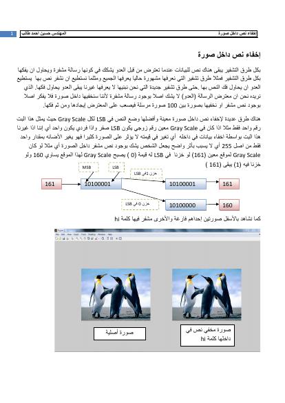 تحميل كتاب إخفاء نص داخل صورة (Hide Text in Image By Matlab) حسين احمد طالب PDF حسين احمد طالب