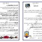 تحميل كتاب المبرمج PDF ياسر ابراهيم فرحات سعد