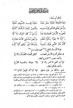 تحميل كتاب المختار من شعر بشار اختيار الخالديين لأبو الطاهر إسماعيل بن أحمد زيادة الله التجيبي البرقي PDF