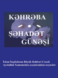 تحميل كتاب كهرمان لـ هادي أويلا PDF