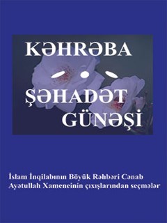 تحميل كتاب كهرمان لـ هادي أويلا PDF