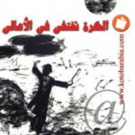 تحميل كتاب الكرة تختفي في الأعالي حسني سيد لبيب PDF حسني سيد لبيب