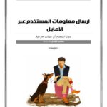 تحميل كتاب ارسال معلومات المستخدم عبر الامايل ل Minou dz PDF Minou dz