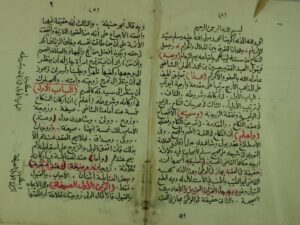 تحميل كتاب الافصاح في عقد النكاح PDF حسين بن محمد المحلي الشافعي