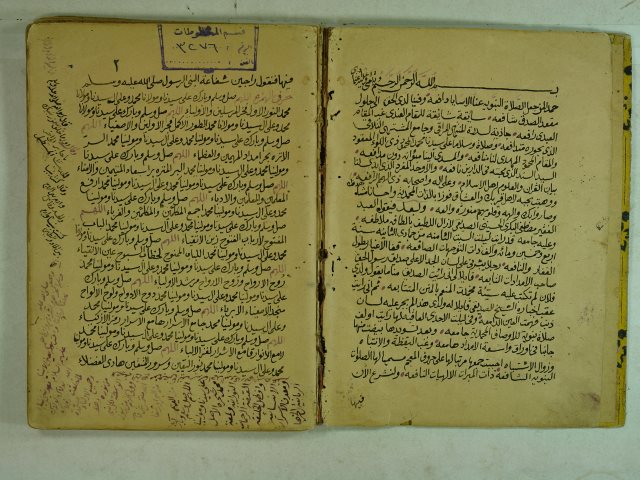 تحميل كتاب الصلوات النبوية الشافعية ذات المبرات الالهيات النافعة لمصطفي البكري الحسيني الصديقي PDF
