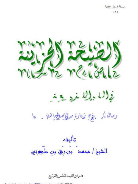 تحميل كتاب الصيحة الحزينة في البلد اللعينة- ملون PDF محمد بن رزق بن الطرهوني