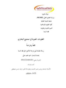 تحميل كتاب العقوبات المعنوية في صحيح البخاري جمعًا ودراسة لحميد محمد عالي PDF حميد محمد عالي