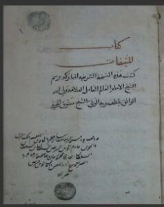 تحميل كتاب المنبهات في التصوف 2108 PDF