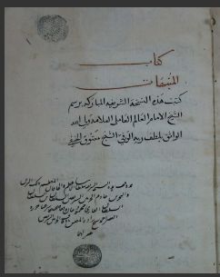 تحميل كتاب المنبهات في التصوف 2108 PDF