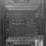 تحميل كتاب التاريخ اليهودي العام PDF صابر طعيمة روابط مباشرة