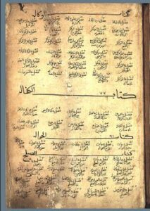 تحميل كتاب المحيط البرهاني 554 ج8 PDF