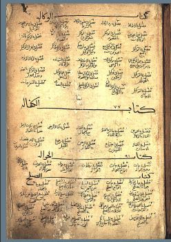 تحميل كتاب المحيط البرهاني 554 ج8 PDF