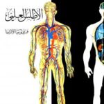 تحميل كتاب الأطلس العلمي فيزيولوجيا الإنسان ملون ل زهير الكرمي محمد سعيد صباريني سهام العقاد عارف PDF