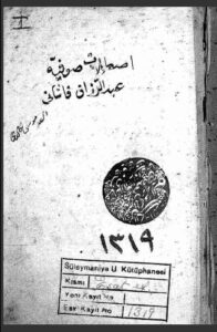 تحميل كتاب إصلاحات الصوفية 1319 PDF
