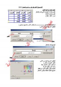 تحميل كتاب التنسيق الشرطي في الاكسل ل عيون فتحي إبراهيم PDF