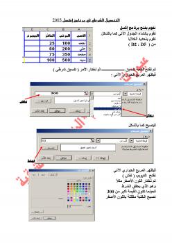 تحميل كتاب التنسيق الشرطي في الاكسل ل عيون فتحي إبراهيم PDF