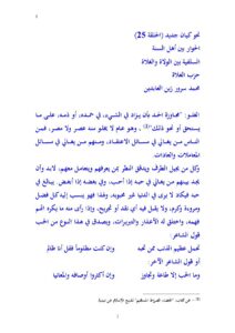 تحميل كتاب السلفية بين الولاة والغلاة حزب الغلاة (نحو كيان جديد / الحلقة 25 الحوار بين أهل السنة) PDF محمد سرور زين العابدين