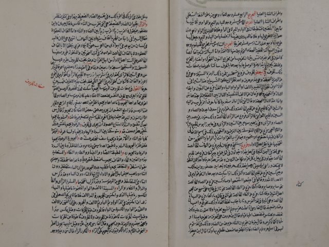 تحميل كتاب ارتشاف الضرب من لسان العرب لأبي حيان: محمد بن يوسف الأندلسي PDF محمد بن يوسف الأندلسي