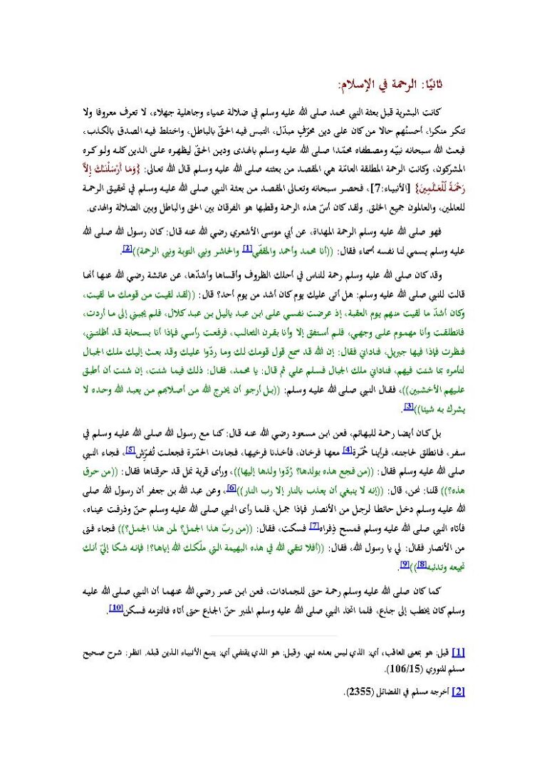 تحميل كتاب الرحمة في الإسلام مجهول PDF