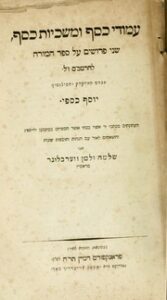تحميل كتاب Amude Kesef ve makiyot kesef PDF