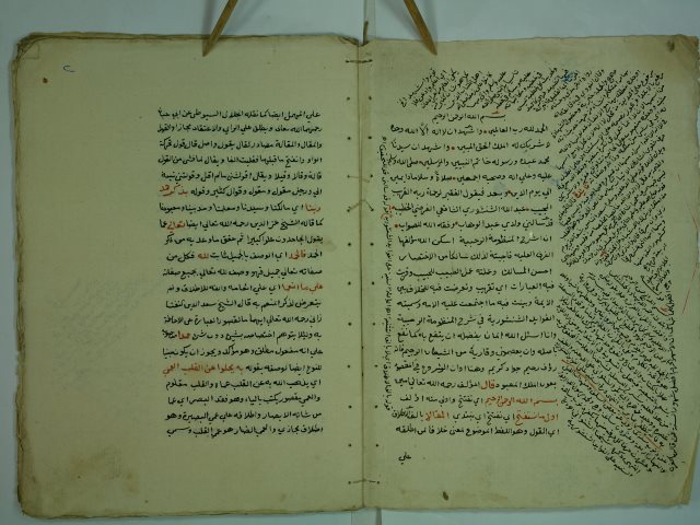 تحميل كتاب الفوائد الشنشورية في شرح المنظومة الرحبية لعبد الله الشنوشوري بن محمد بن عبد الله الشافعي PDF