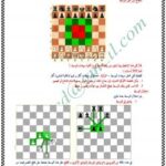 تحميل كتاب استراتيجية الشطرنج الجزء الأول PDF محمد فتحي الهدهد