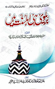 تحميل كتاب Barelvi Hi Ahl Sunnat Hain بریلوی ہی اہلسنت ہیں PDF