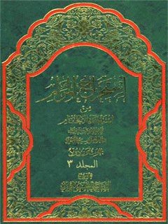 تحميل كتاب استخراج المرام من استقصاء الافحام جلد 3 PDF آيت الله علي حسيني ميلاني
