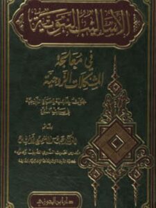 تحميل كتاب الأساليب النبوية في معالجة المشكلات الزوجية PDF عبد السميع الأنيس