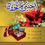 تحميل كتاب اجنبی کا تحفہ Ajnabi Ka Tohfa PDF