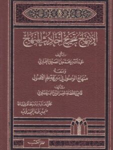 تحميل كتاب الابتهاج بتخريج أحاديث المنهاج ومعه الوصول في معرفة علم الأصول للبيضاوي PDF عبد الله الصديق الغماري