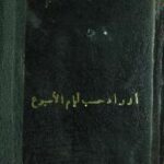 تحميل كتاب أوراد أيام الأسبوع أدعية ل محمد بن أسامة PDF محمد بن أسامة